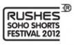 RSSF_logo_Viewfest